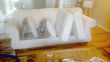 White Sofa in Guilford CT Cleaned by Absolute Best Cleaners