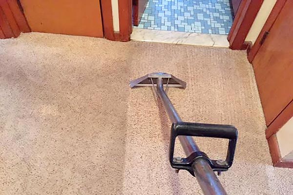 Spring Carpet Cleaning in Madison CT