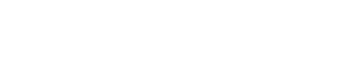 Absolute Best Cleaner