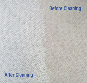 Get the stain protection… it works!