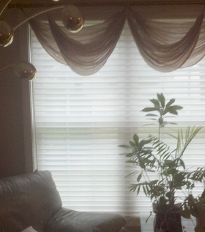 Window Shade Cleaning… protect your investment