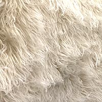 Float Rugs, Shaggy White Wool Rugs